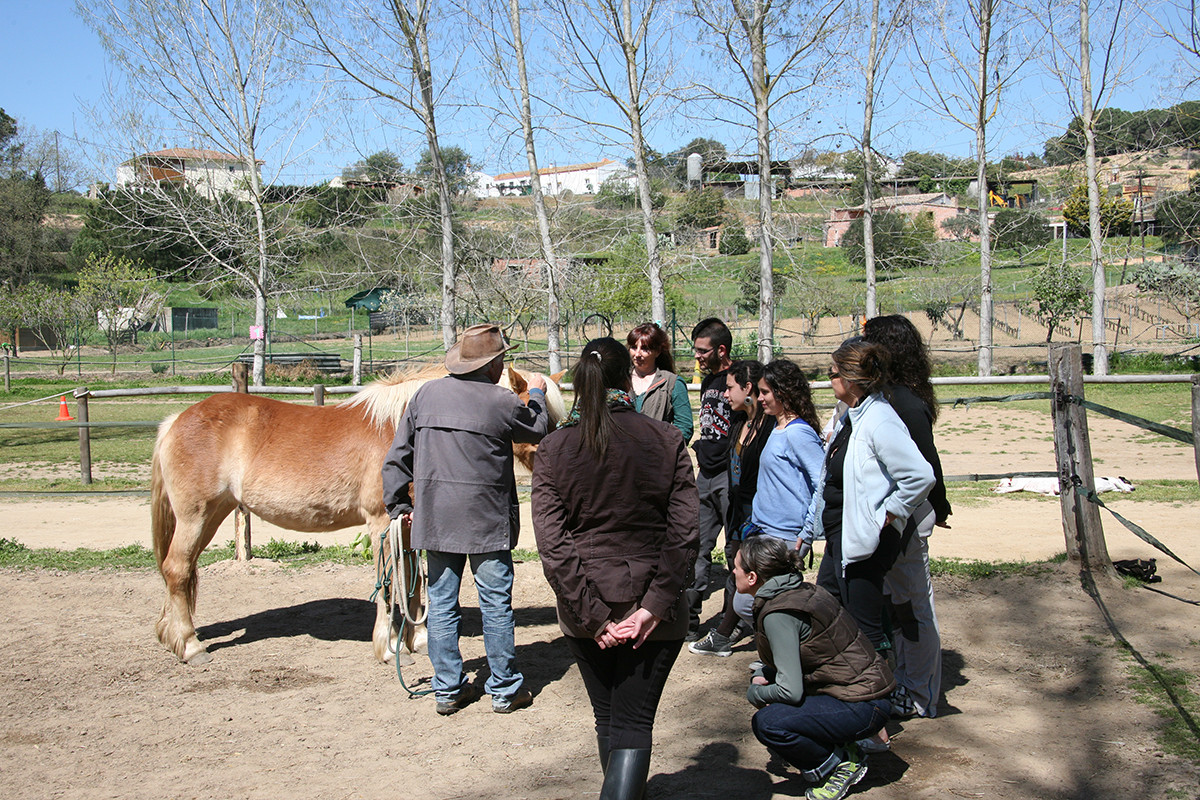 Introducción al conocimiento y manejo del caballo en Equinoterapia