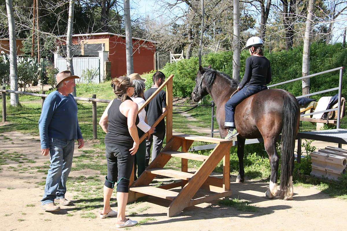 Introducción al conocimiento y manejo del caballo en Equinoterapia