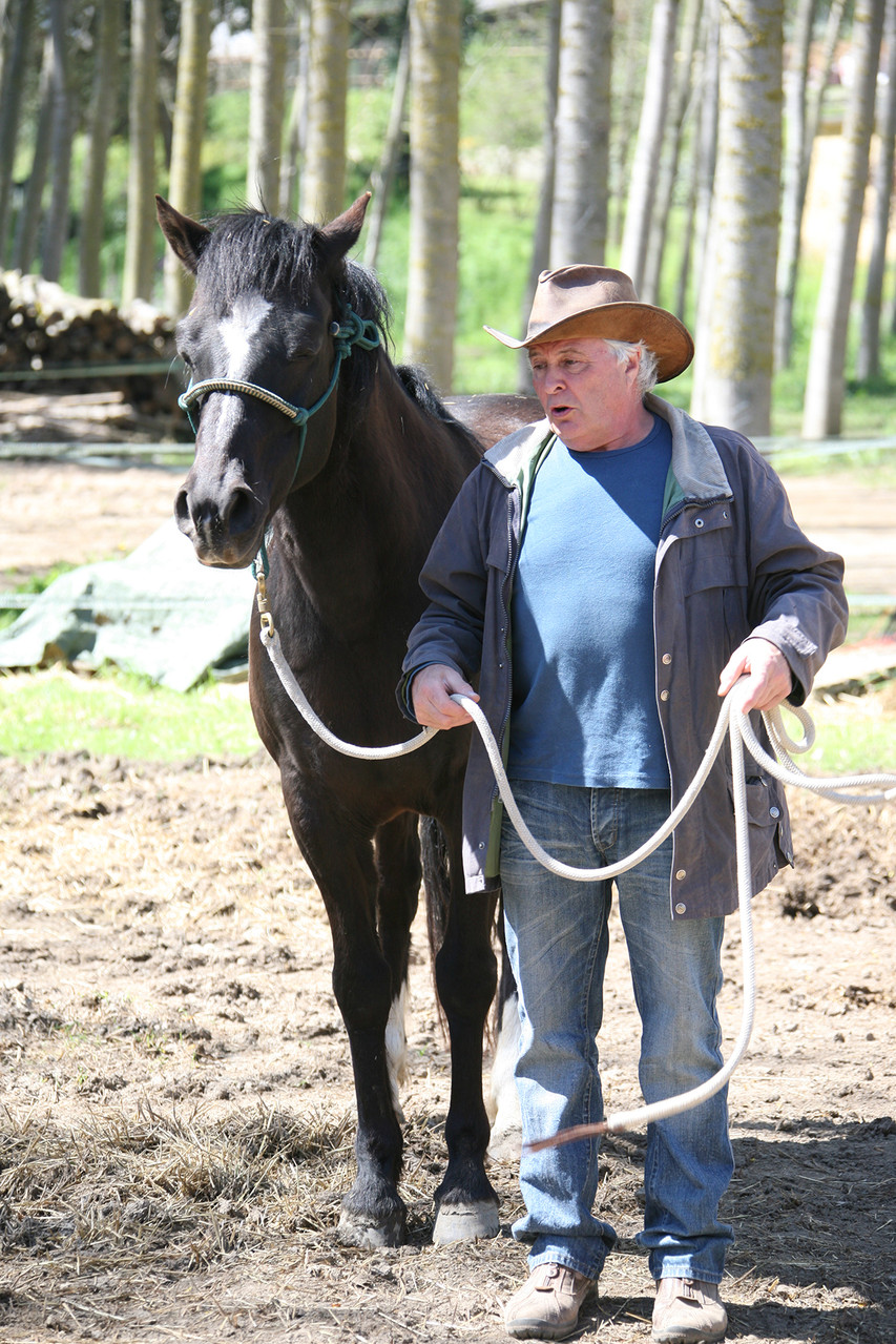 Introducción al conocimiento y manejo del caballo en Equinoterapia