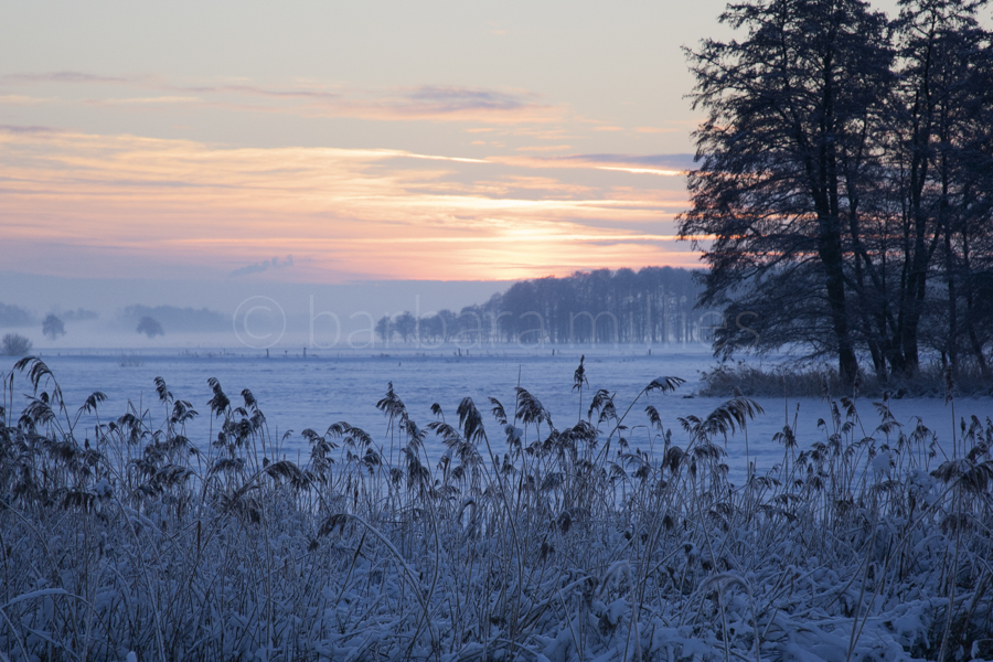 Winter in Waakhausen