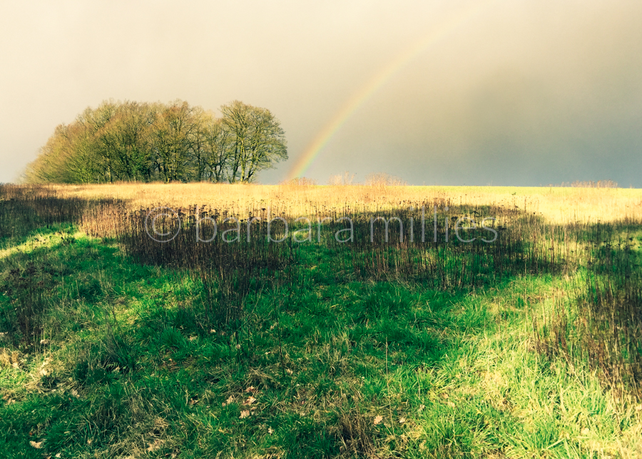 Regenbogen am Weyerberg