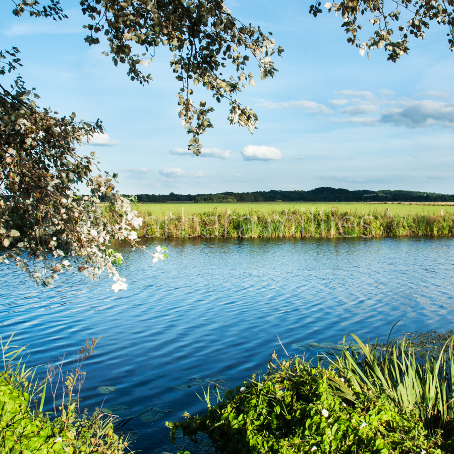 03 An der blauen Hamme