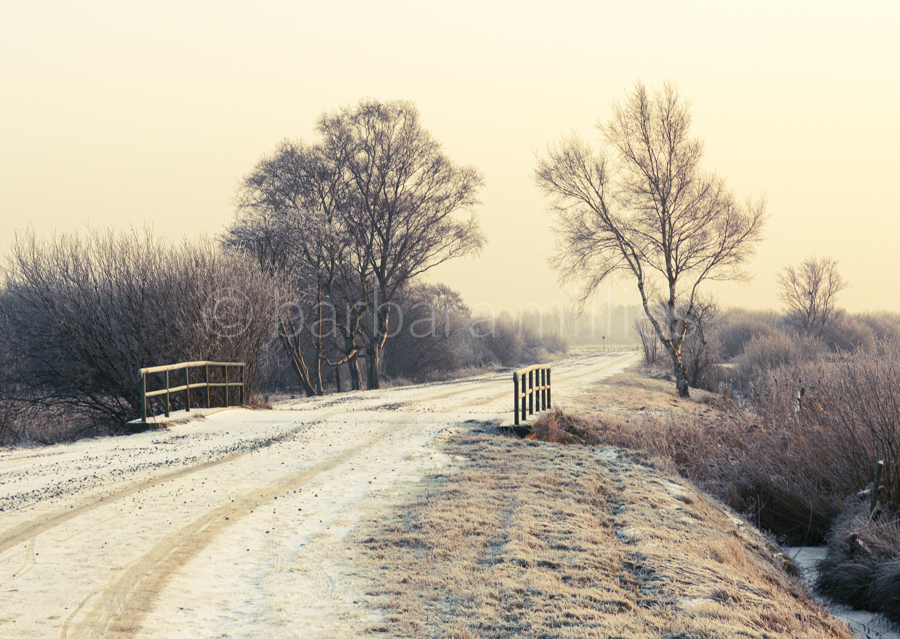 Winter in Neu Helgoland