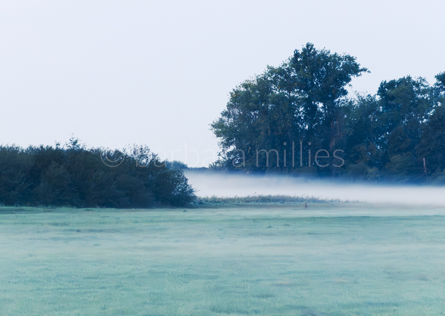 Herbstnebel