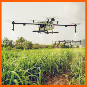 Fumigación de caña de azúcar en México: ¿Por qué deberías considerar los drones para esta tarea?