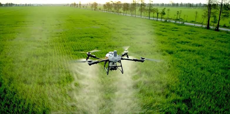 Agras T55 sobre campo verde