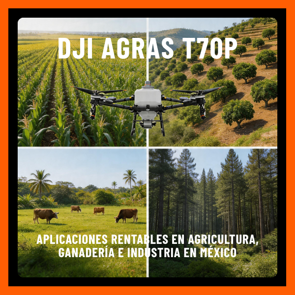 DJI Agras T70P: aplicaciones rentables en agricultura, ganadería e industria en México