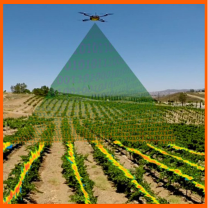 Medición de los índices de vegetación con drones