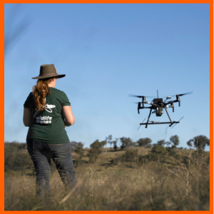 Drones: una herramienta efectiva para la protección de la biodiversidad mexicana