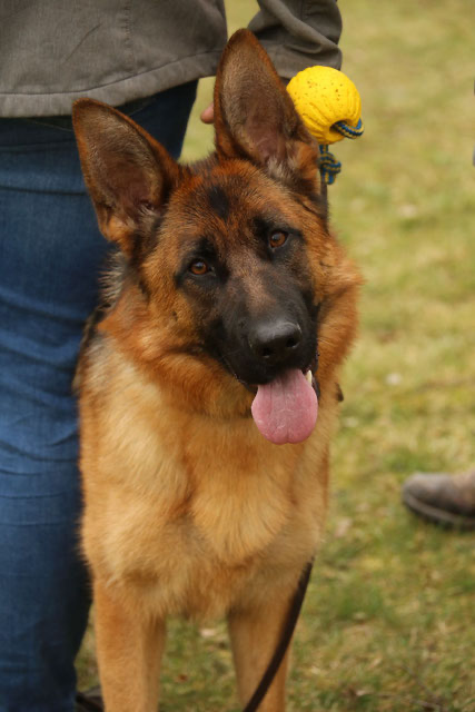 Nikita 