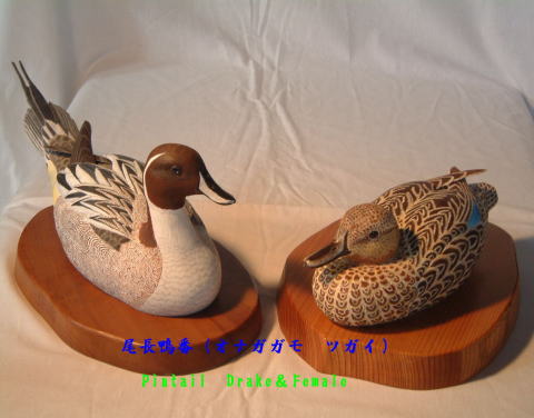 バードカービング - 阿蘇の大自然のなかで趣味に生きる