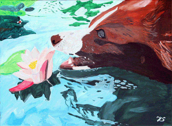 Nr.:48 Hund im See / 40x30 / verkauft