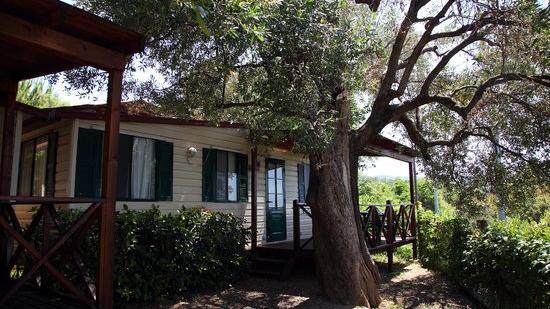 mobil home