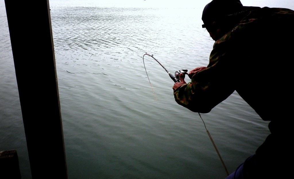 もし嫌なことを思い出していても、魚がかかった瞬間に清々しい虚無がたちこめます。