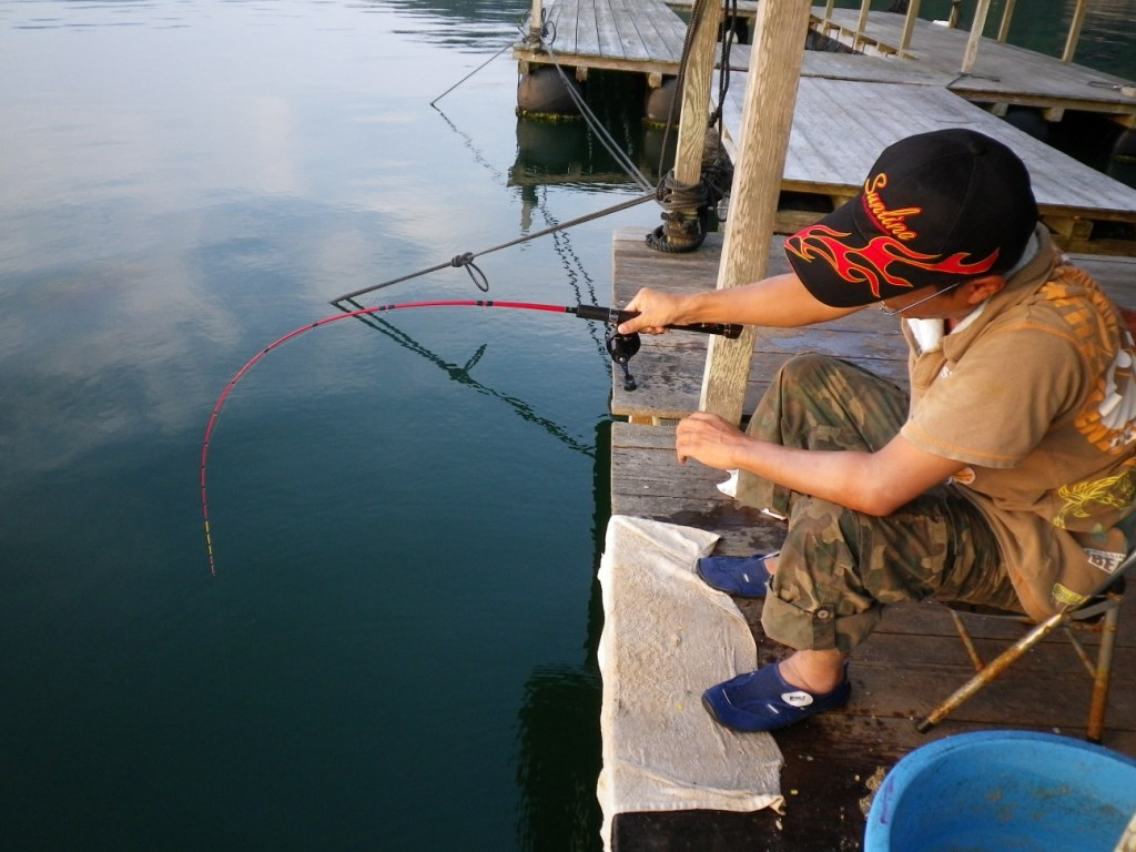 かかったですね、重そうです！バラすかもしれない？しかしながら魚とのやりとりは至福のひとときですね！