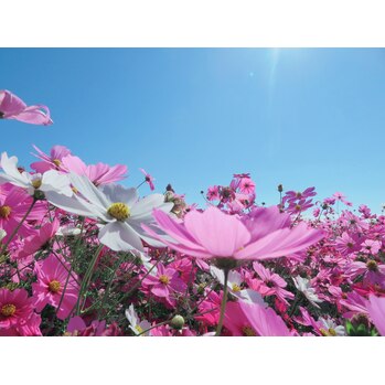 脱毛は秋が始めドキ！