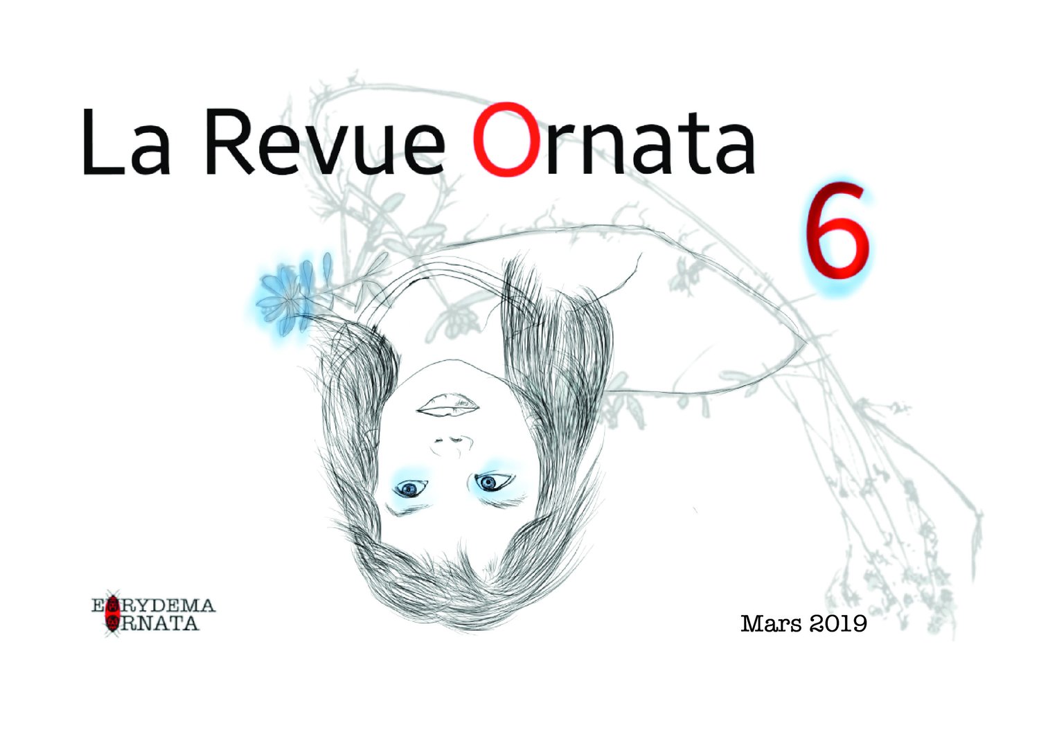 Ornata n°6, Revue de 68 pages éditée à 150 exemplaires numérotés, 14.8x21cm, Eurydema Ornata Editions, 2019