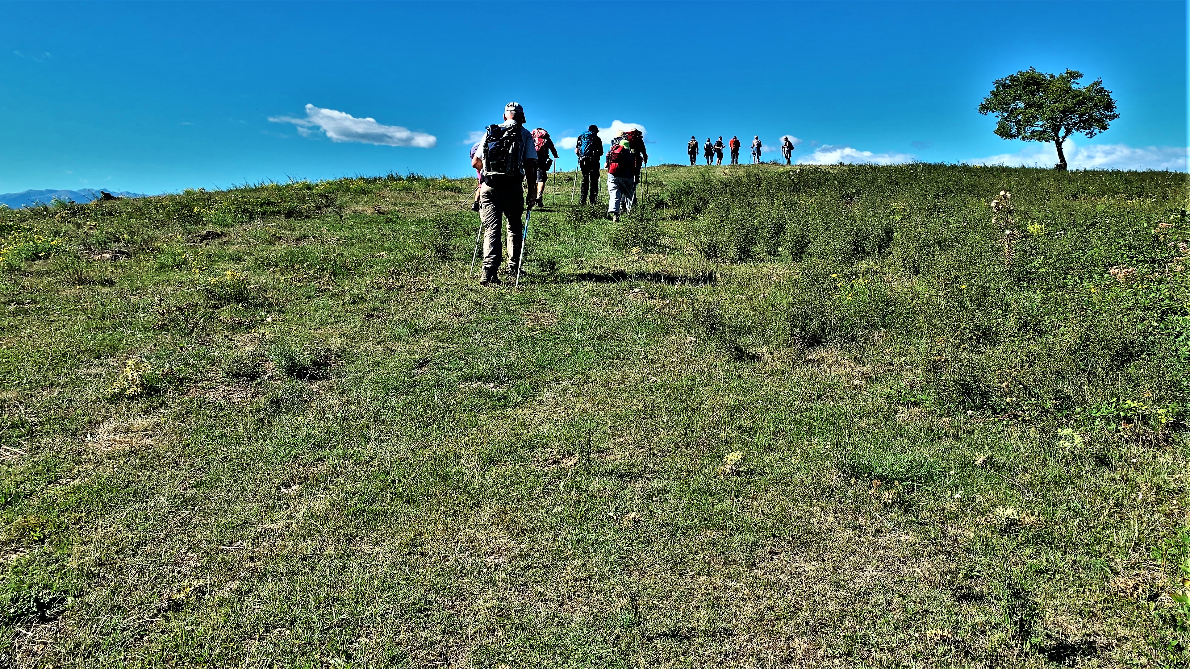 Randos Canétoises en Rando Niveau 2 à Le vivier vers le fajas d'en baillette le 24 septembre 2019