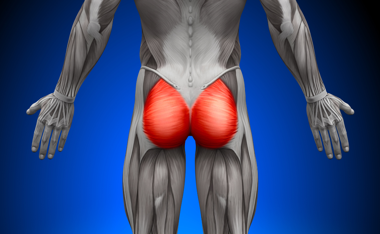 Biodescodificación Gluteo Derecho