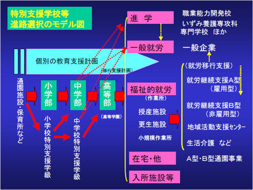 特別支援学校進路選択モデル図