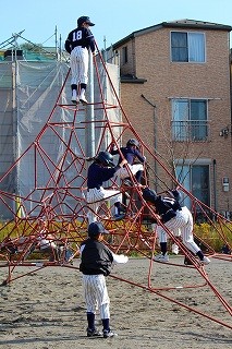 題　「クモの巣にかかったアリ」
