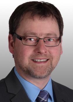 Detlef Krings, Fraktionsvorsitzender