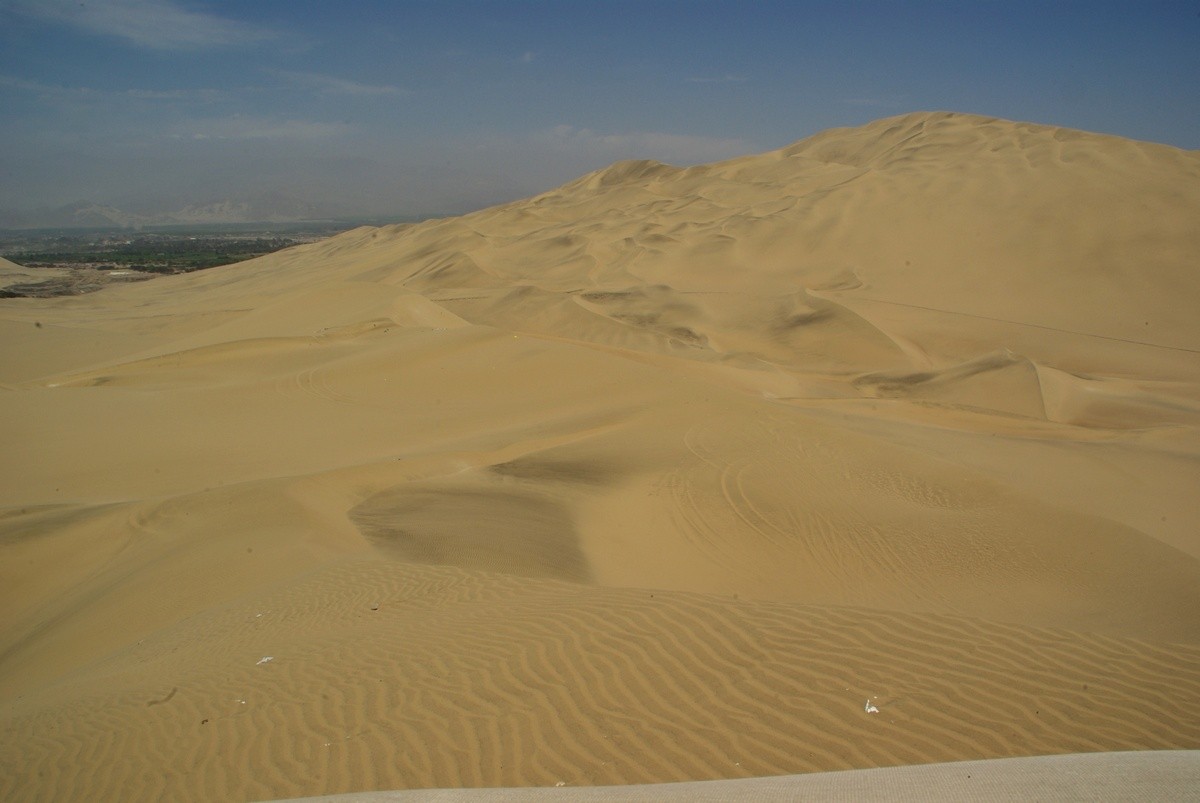 Dune sur la cote pacifique
