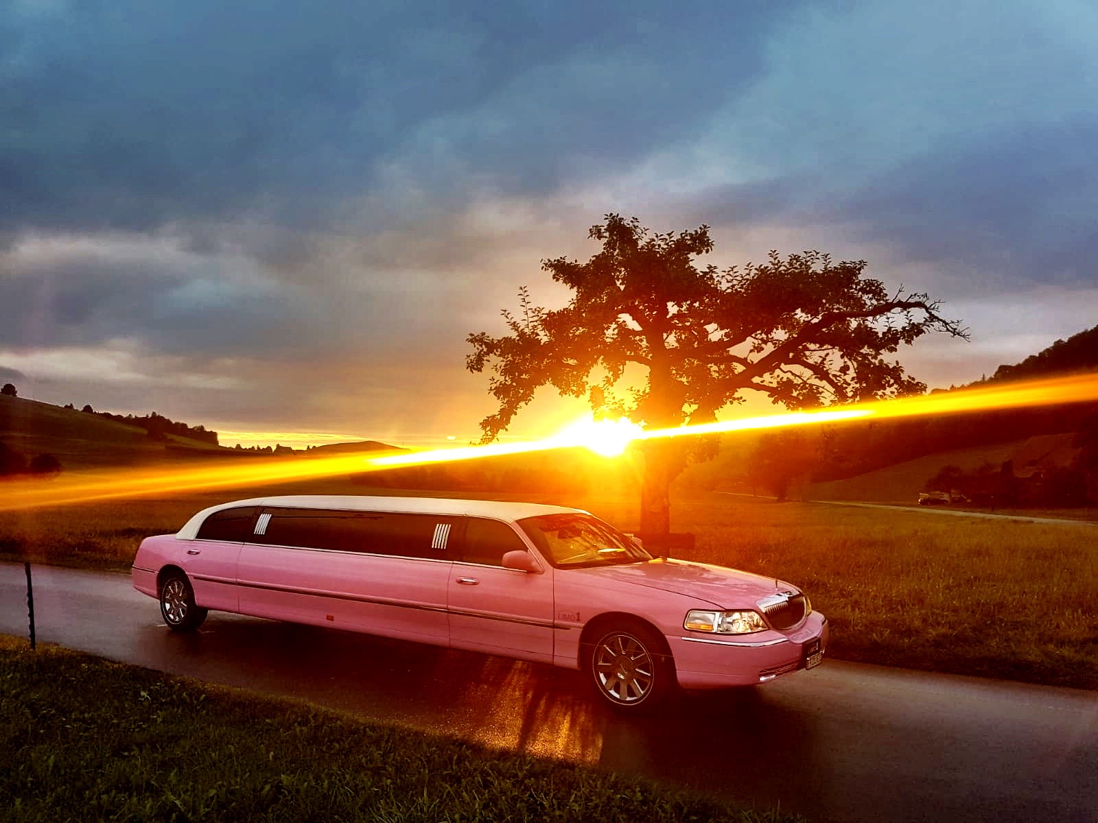 Pinklimousinemieten Rent A Classic Car Oldtimervermietung