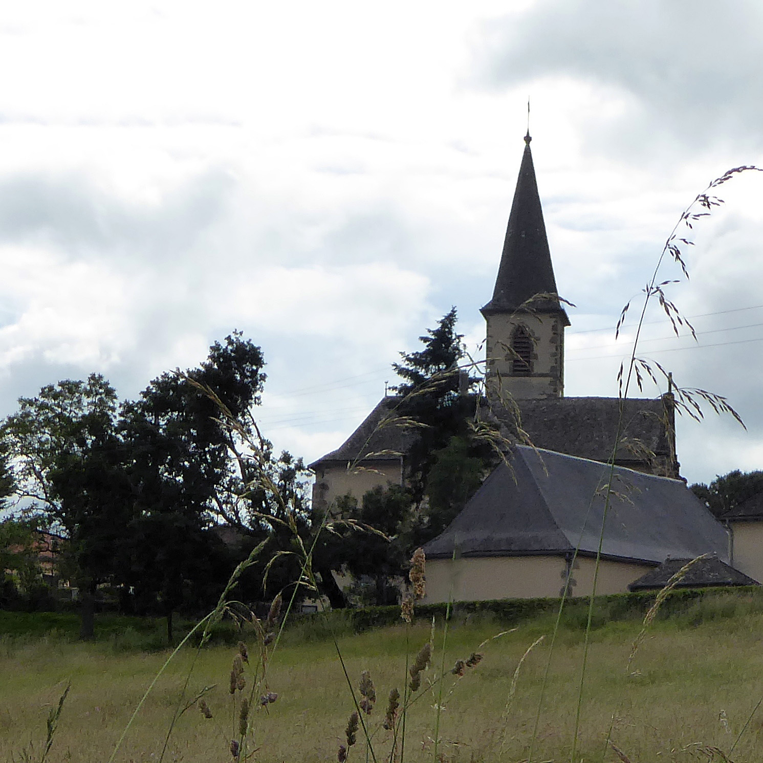 Lutte contre les chenilles