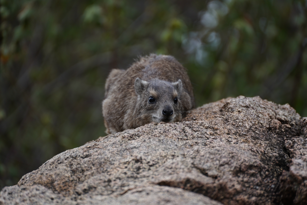Den hatten wir auch noch nicht