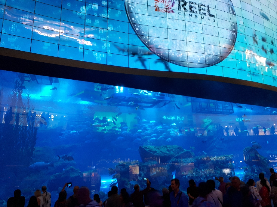 Teilansicht des Aquariums