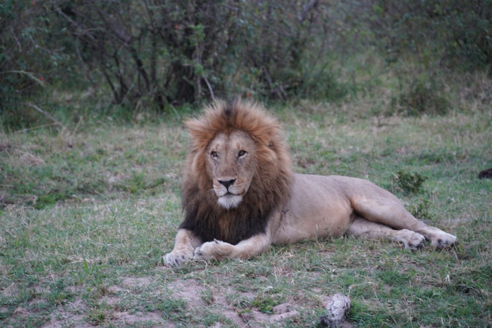 Der Herr des Hauses gab sich auch die Ehre! 4 von 5 am ersten Tag