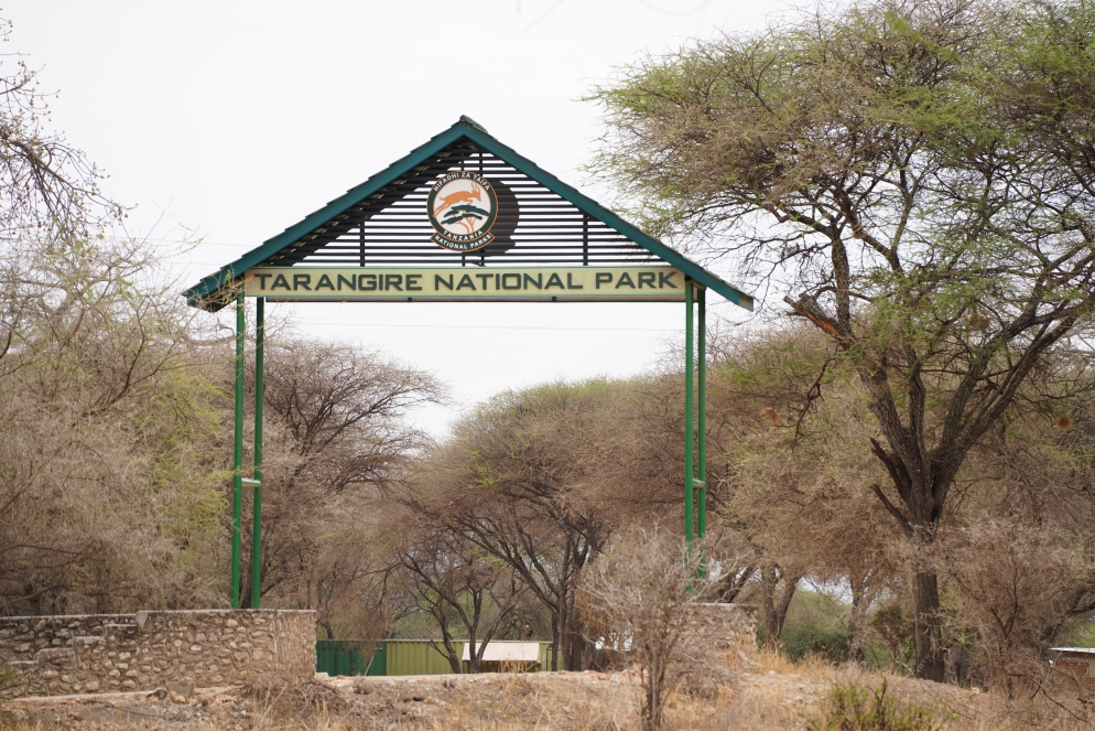 Hallo Tarangire