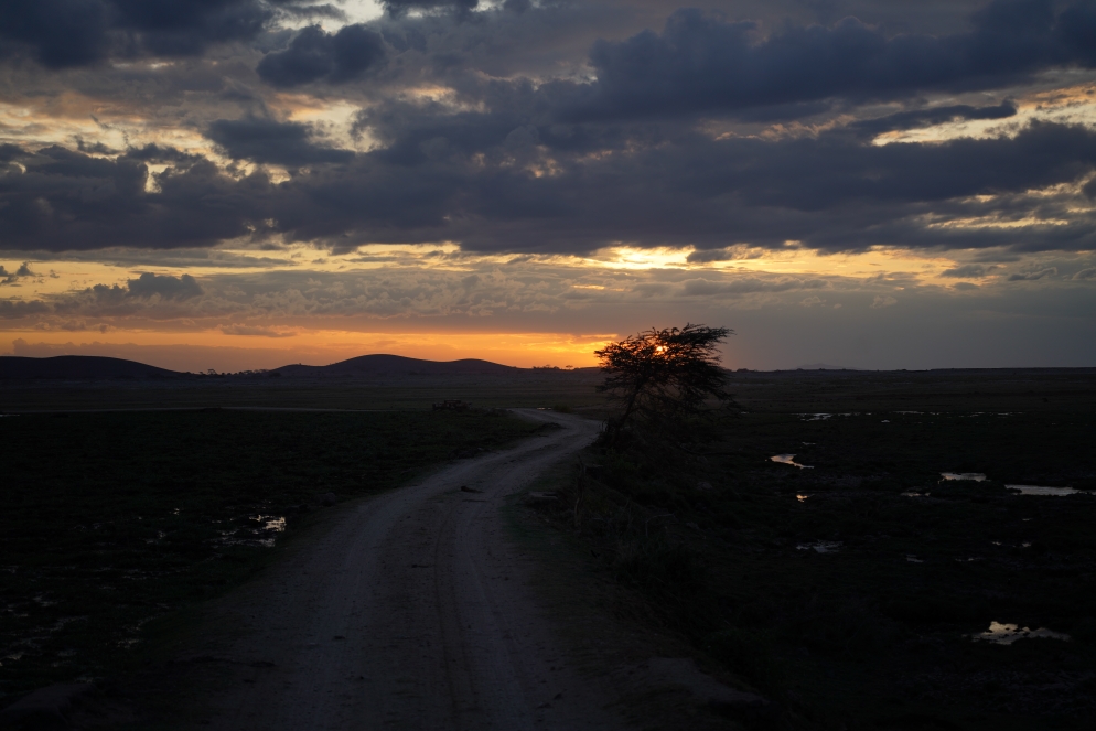 Sonnenuntergang im Amboseli