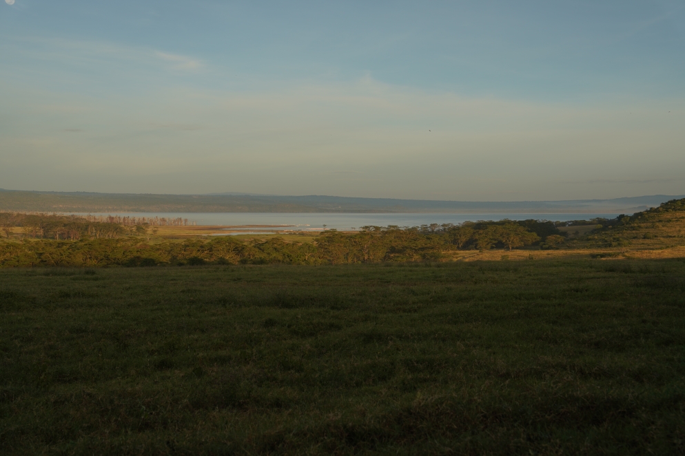 Morgenstimmung am Lage Nakuro