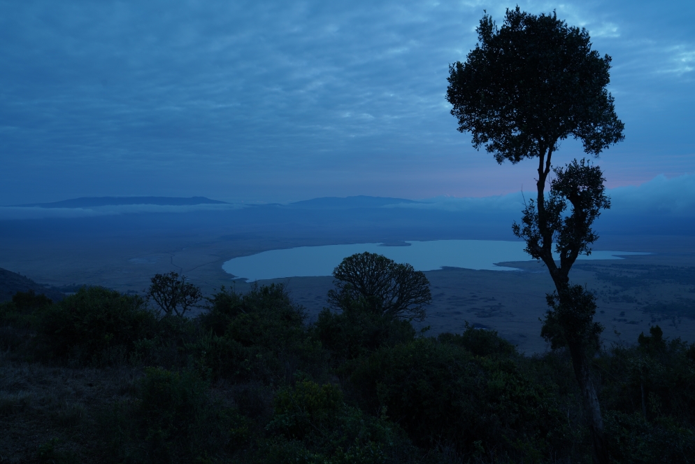 Morgens kurz nach dem aufstehen