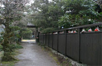 Weg