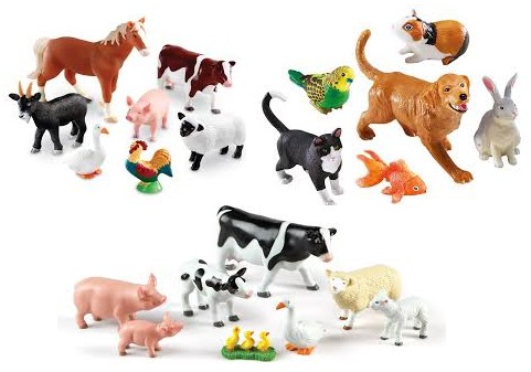 EI366 Grote dieren learning recourses