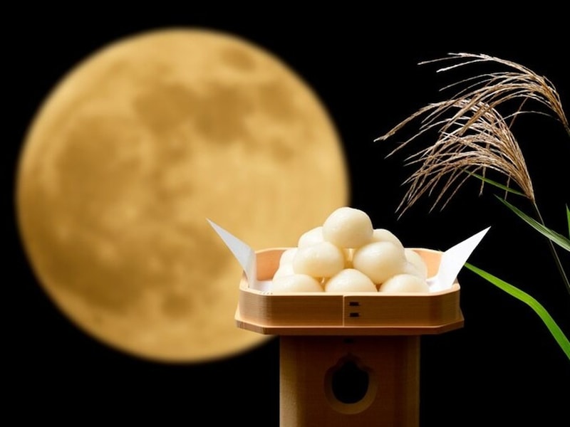 お彼岸！　お月見に、なぜお団子？🎑🍡