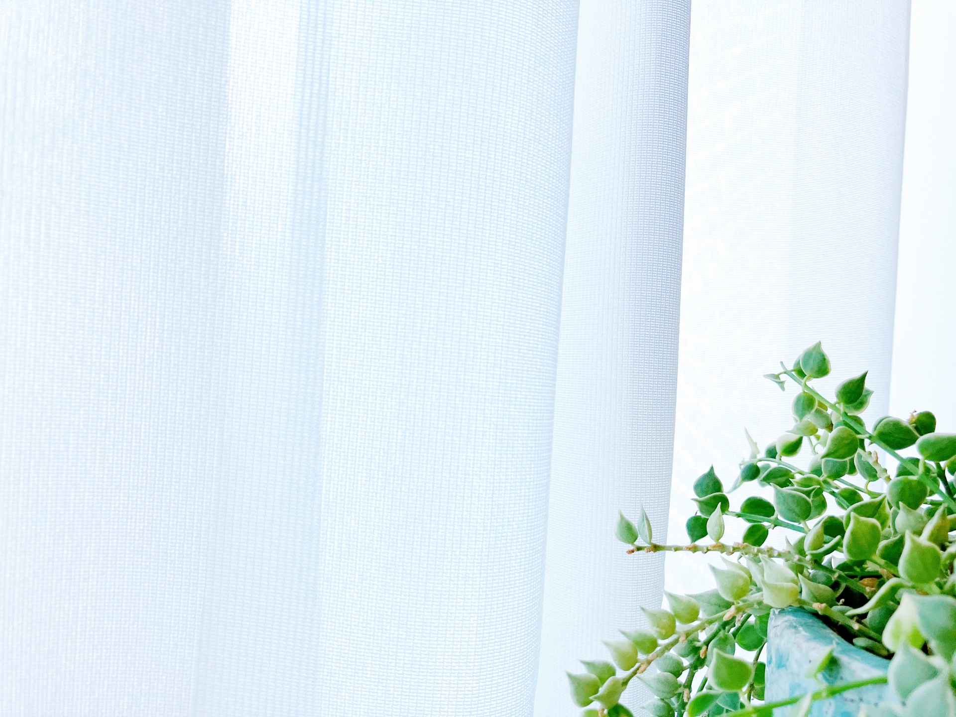 「いらないもの探し」～空いた場所を楽しむ～ 🌿✨