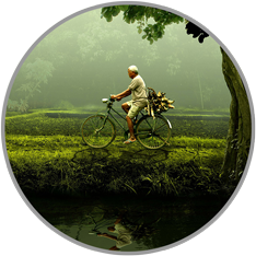 älterer Mann fährt Fahrrad in tropischer Natur