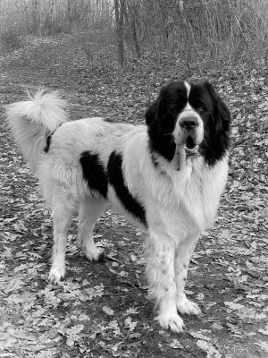 28.04.2026 - R.I.P. - Elias