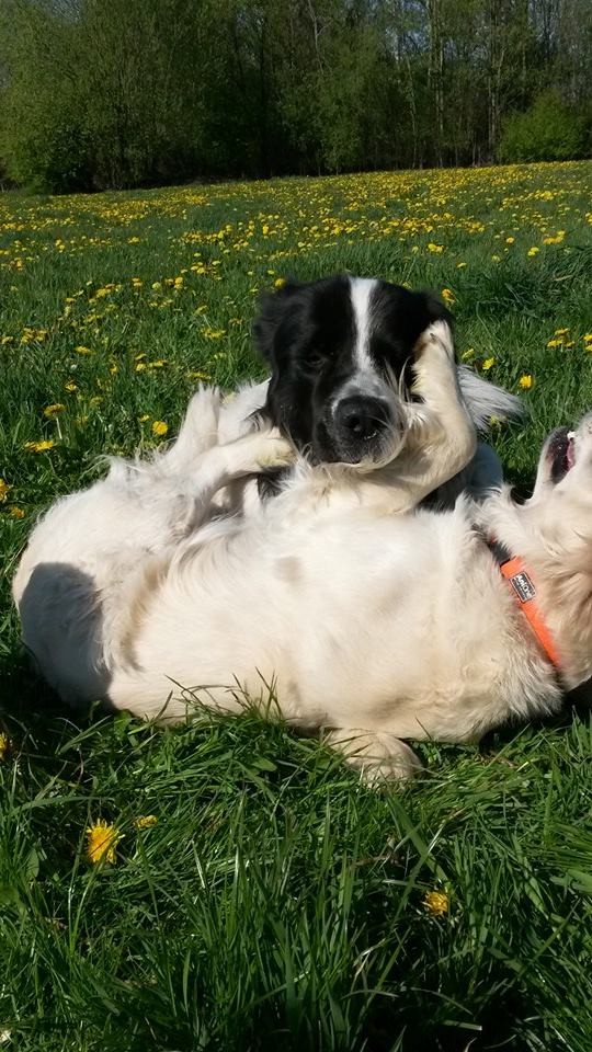 Brody und seine Freundin Luna