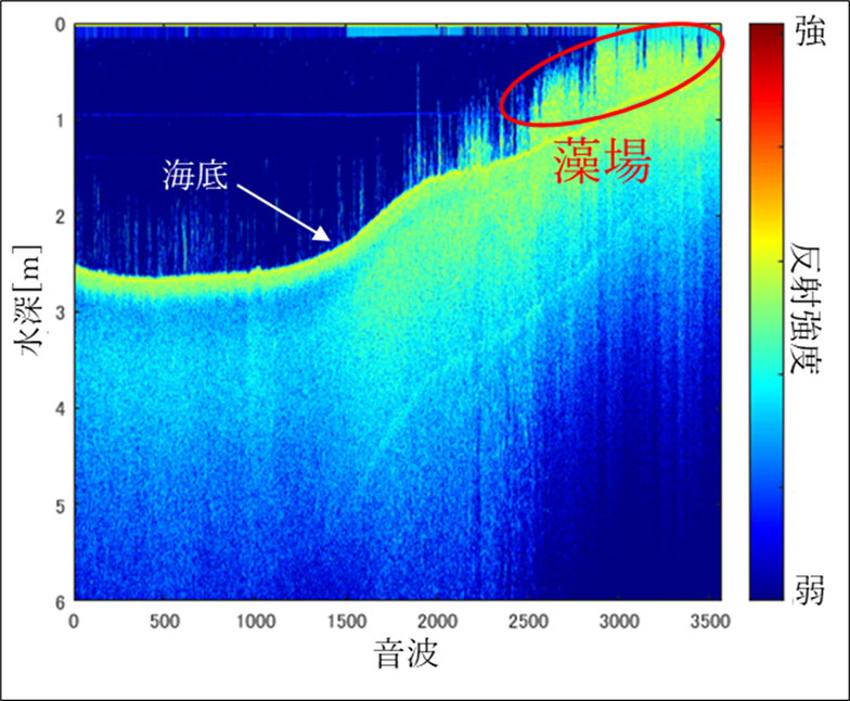 BlueCarbonCalc（ぶるたん）