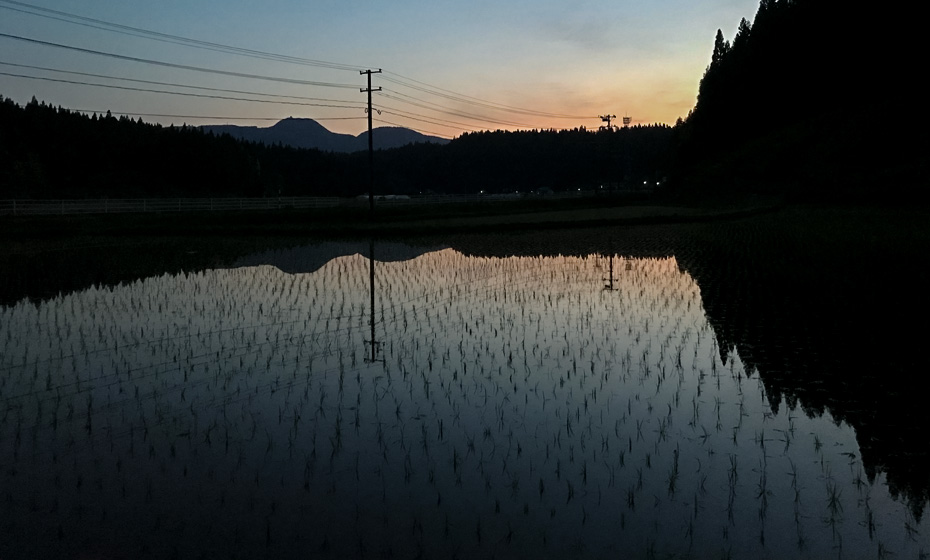 今年の田植えも無事終了しました