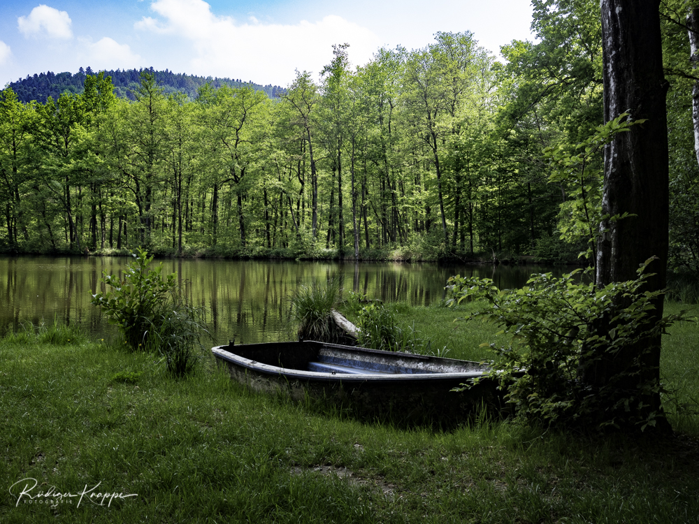 55 See mit Boot Südpfalz