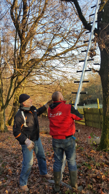 NABU Akrobaten am Werk – Wie hängt man eine Fledermaus-Höhle auf?