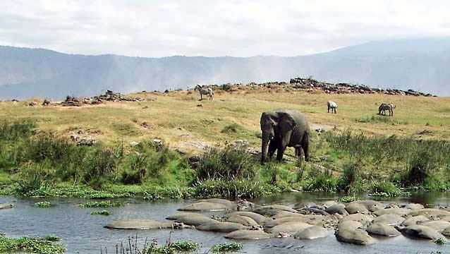 Cratere di Ngorongoro