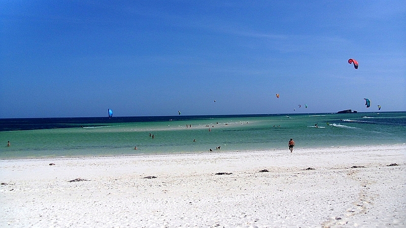 Kenya. Turtle Beach. Kobe Suite Resort Watamu