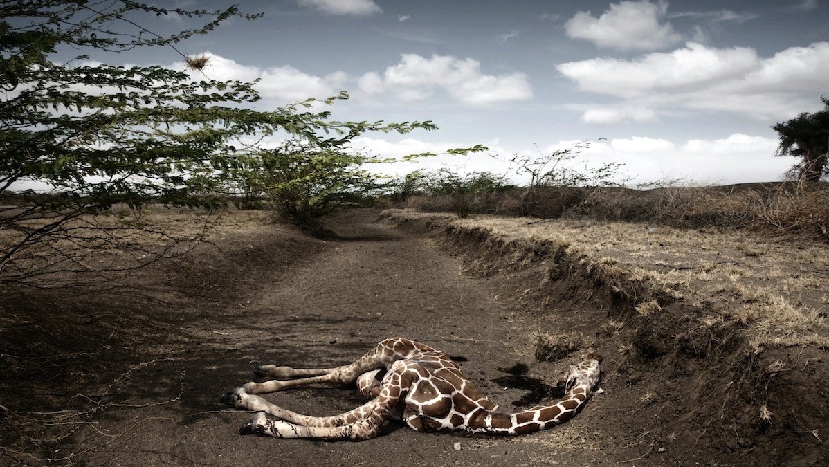 Siccità in Kenya. Foto Stefano De Luigi